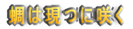 哂͌ɍ炭