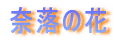 ޗ̉
