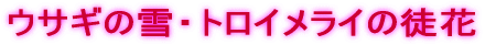 ETM̐EgCC̓k